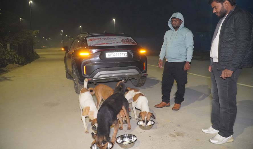 Providing Education - Worlify Foundation